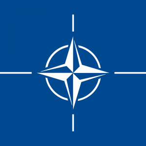 NATO Collaborative Research Grant Theodoros Sklaviadis